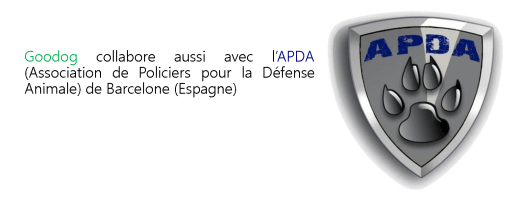 apda web